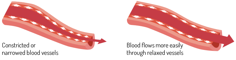 aq_block_24