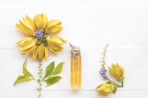 ylang ylang essential oil for lowering blood pressure