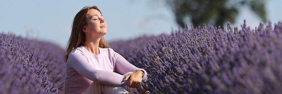 a woman sitting in a field of lavender